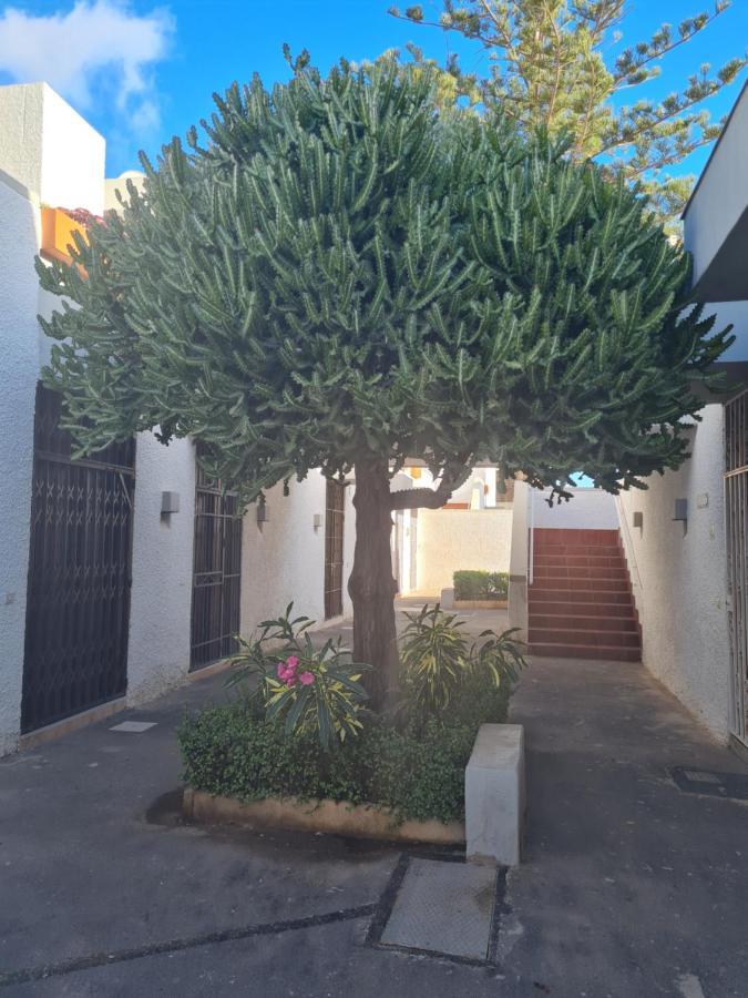 Primavera Apartment Olga With Free Wifi Arona  Exterior photo